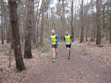 Bosloop Brecht - 09.jpg